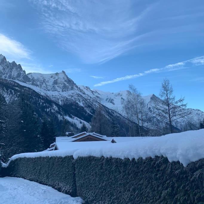 Апартаменты Belle Vue Des Praz Шамони Экстерьер фото